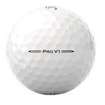 Titleist Pro V1 White 2-Dozen Golf Balls