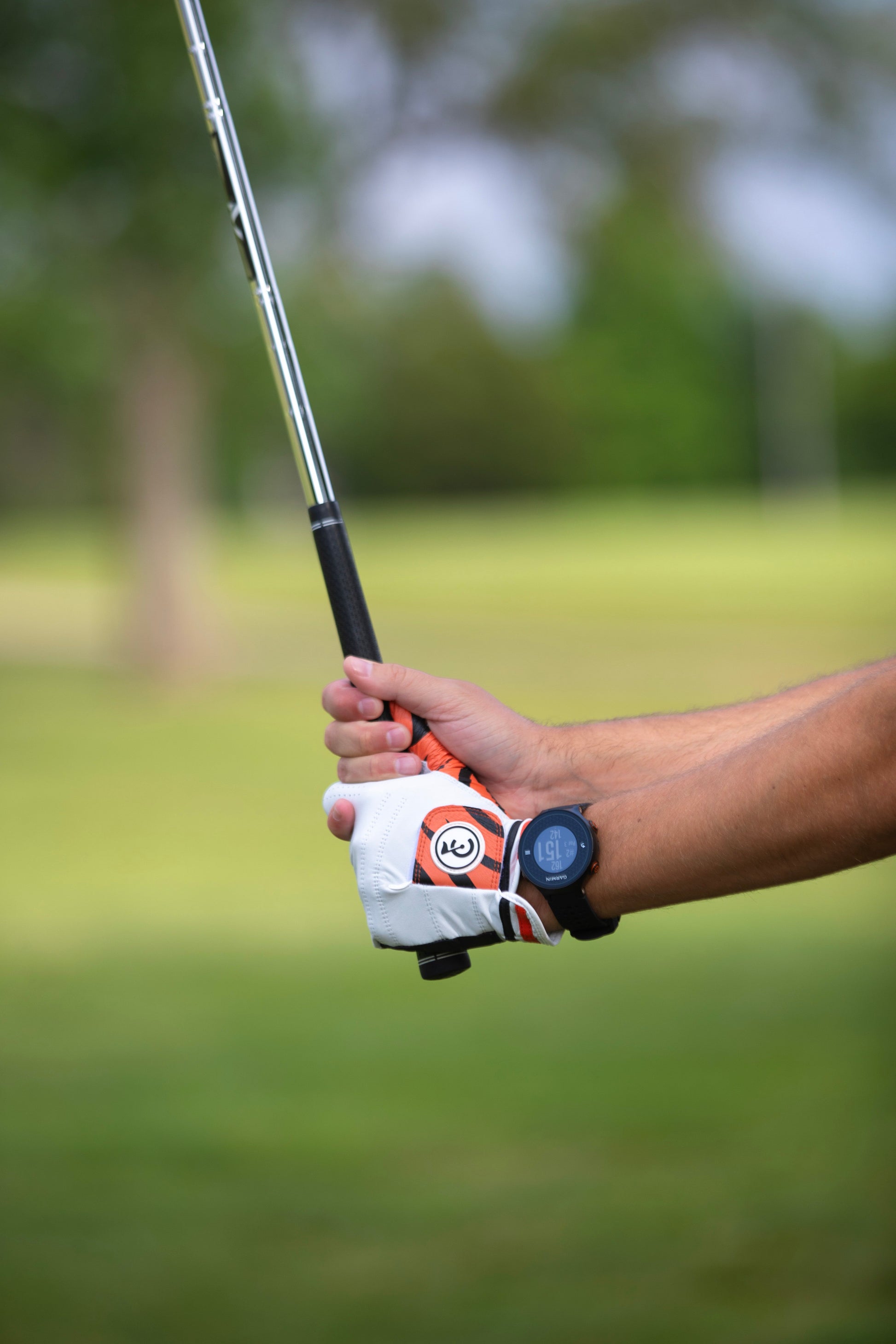 "Tiger" Golf Glove