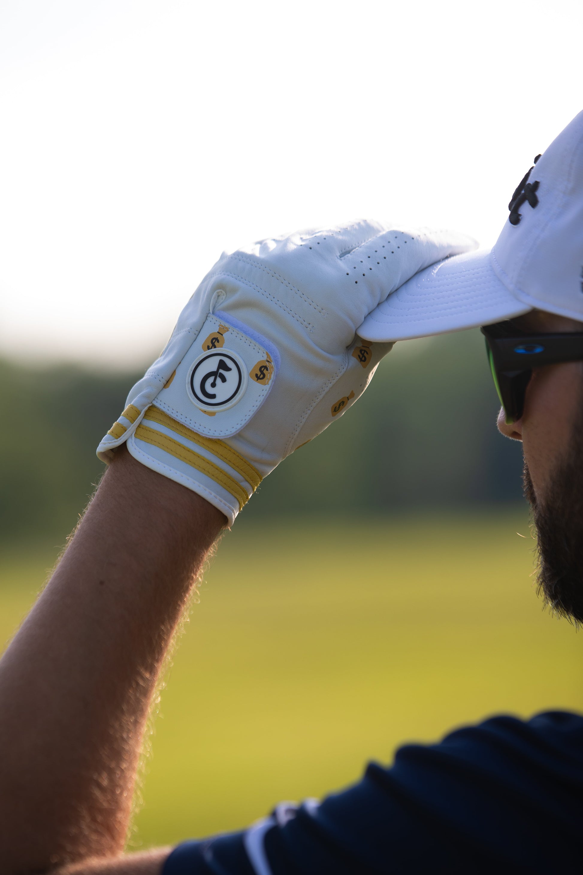 "Money Bags" Golf Glove