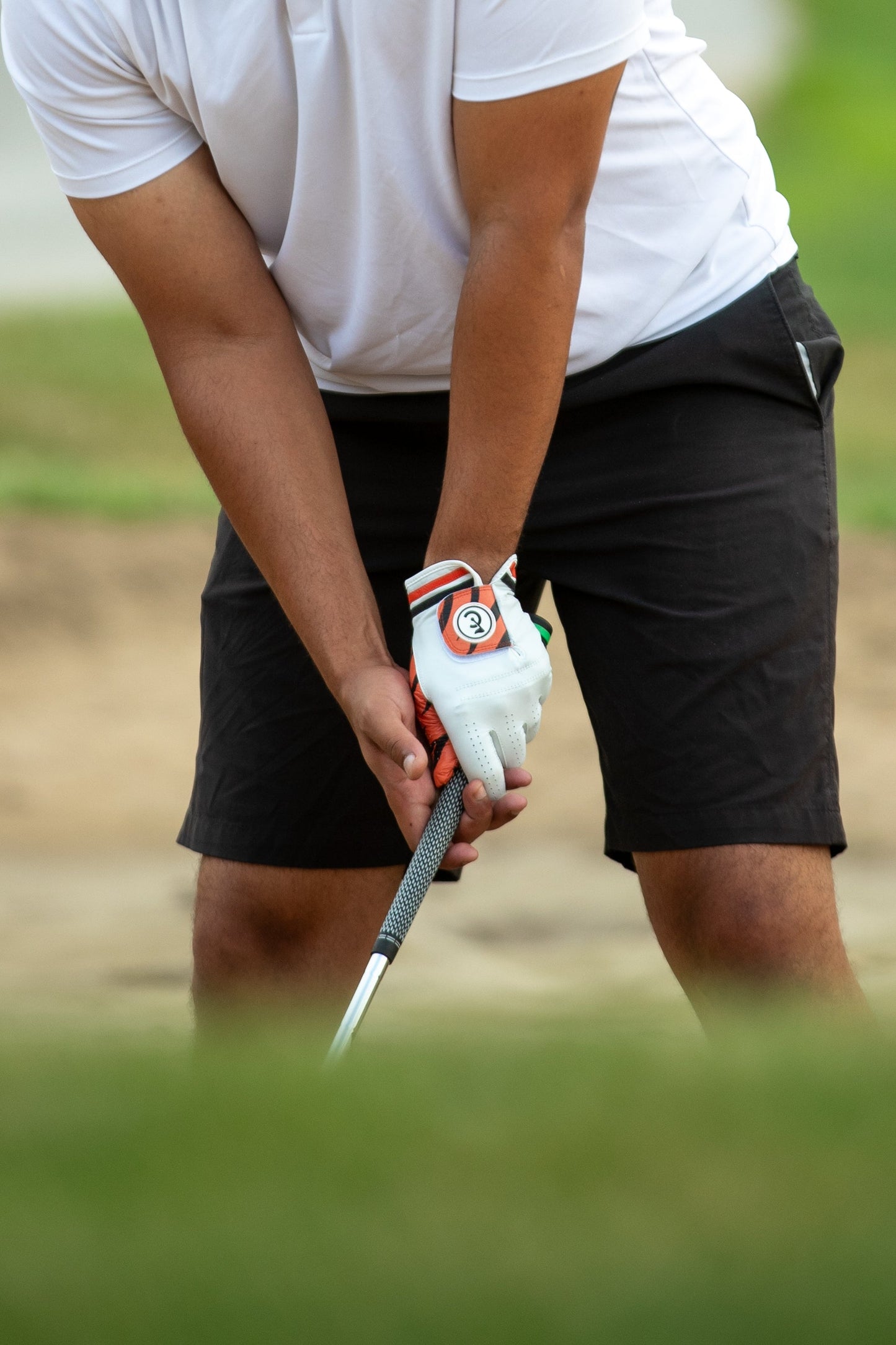 "Tiger" Golf Glove