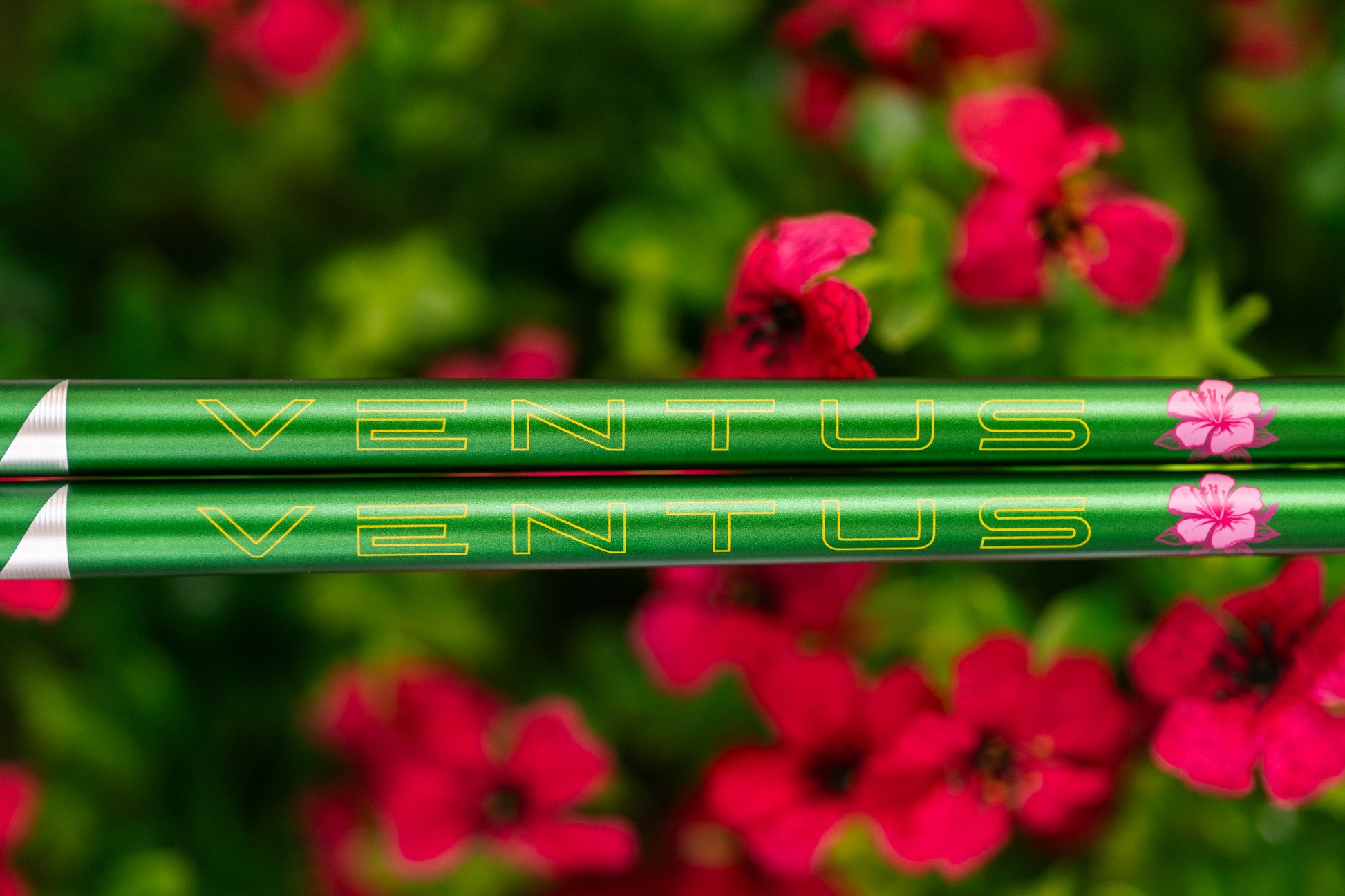 Fujikura Ventus Blue VeloCore + (Plus) Limited Edition (Masters) Wood Shaft