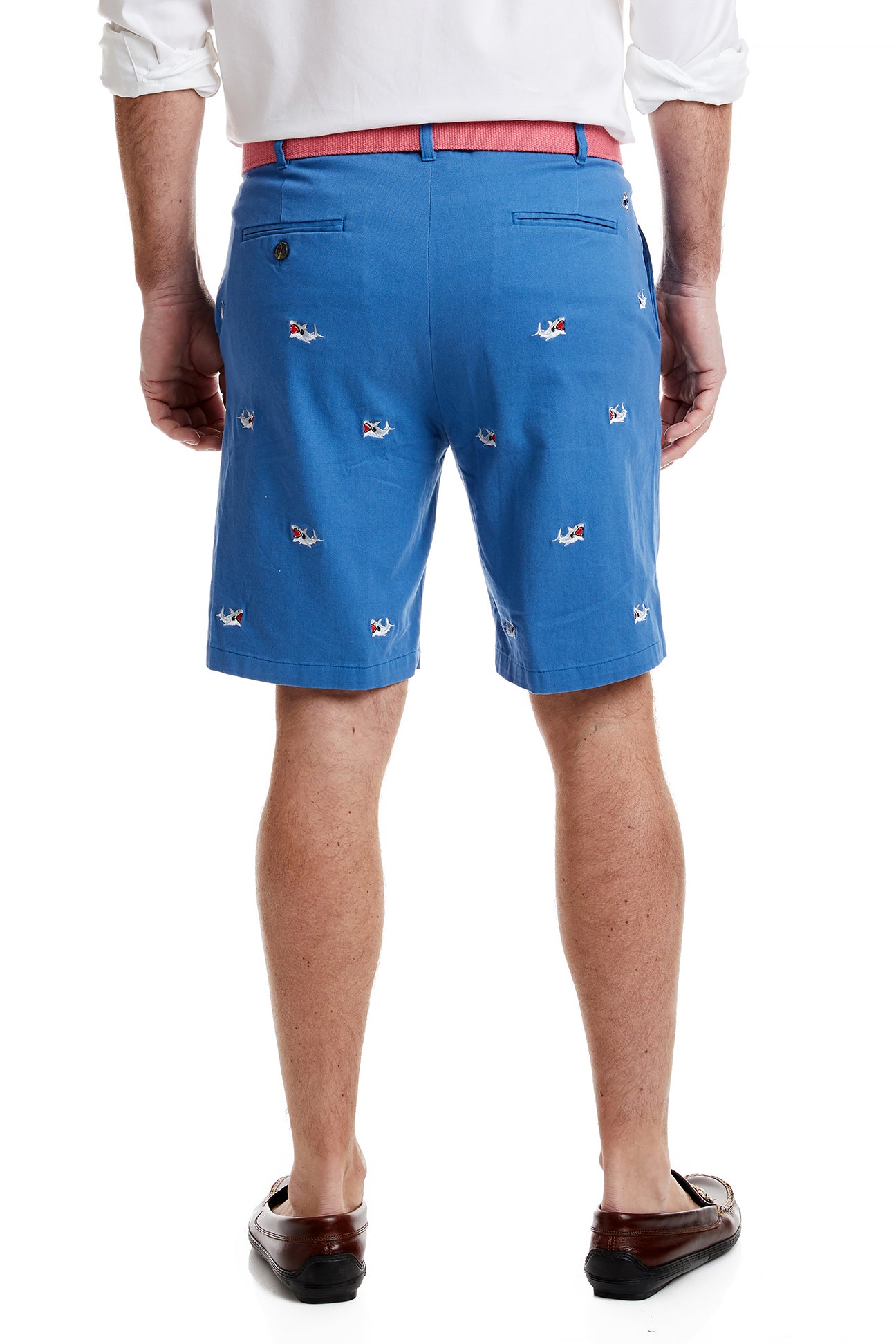 Cisco Short Deep Ocean Blue with Great White Shark